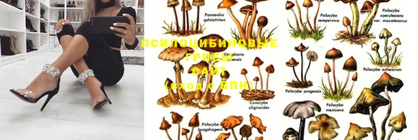 МДПВ Баксан